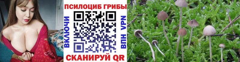 Галлюциногенные грибы Cubensis  Петрозаводск 
